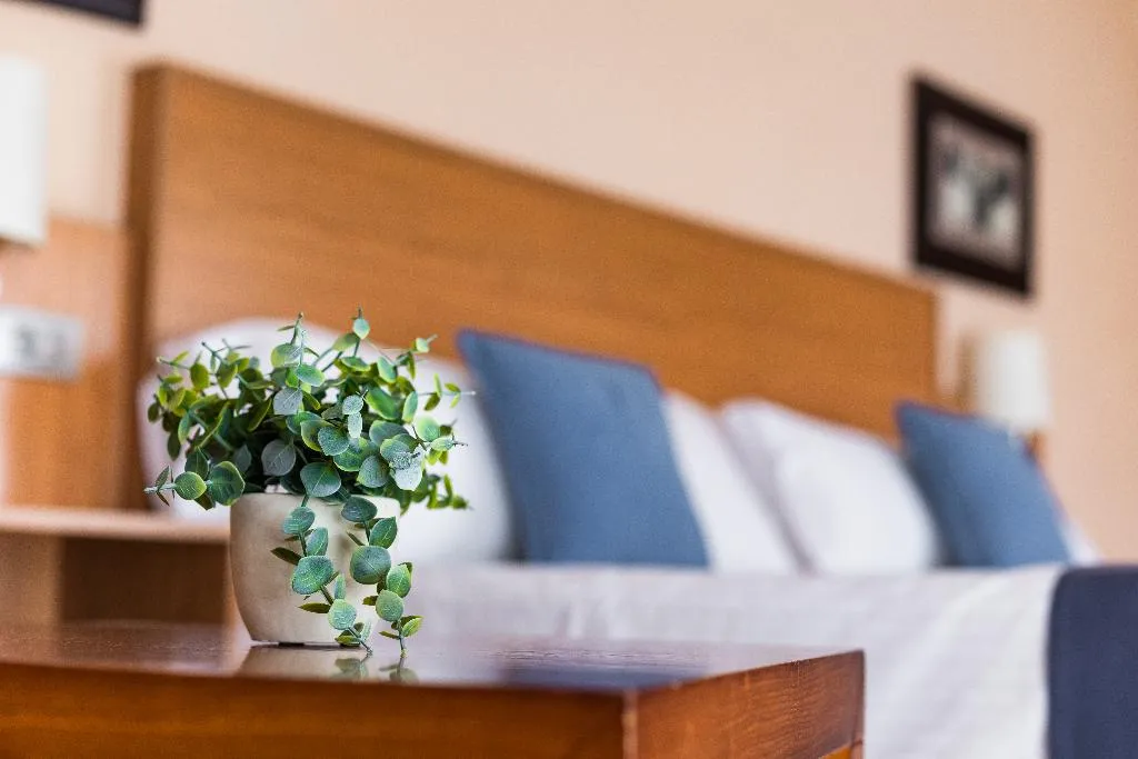 Double or Twin CAPACITY 3 Room, Villa San Juan, Costa Blanca