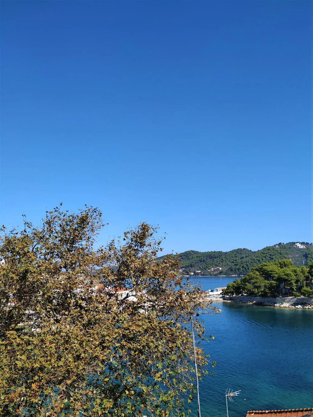 APARTMENT CAPACITY 4 Room, Argo, Skiathos