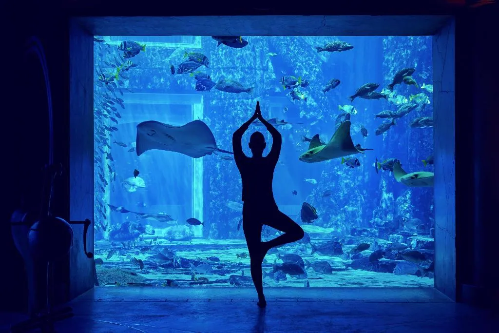 Sports and Entertainment, Atlantis The Palm, Dubai