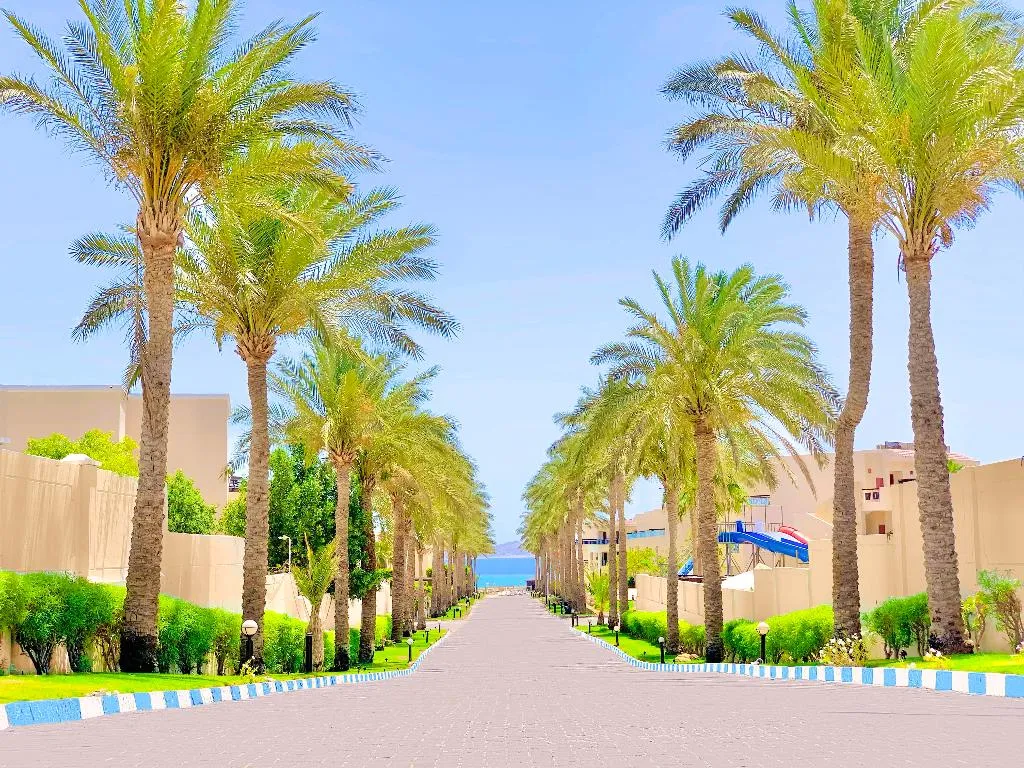 General view, Ivy Cyrene Island  Aquapark Resort, Red Sea Riviera