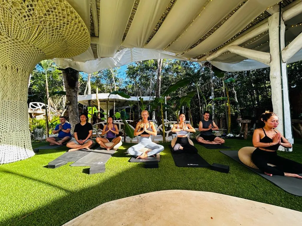 Sports and Entertainment, The Yellow Nest, Cancun Area
