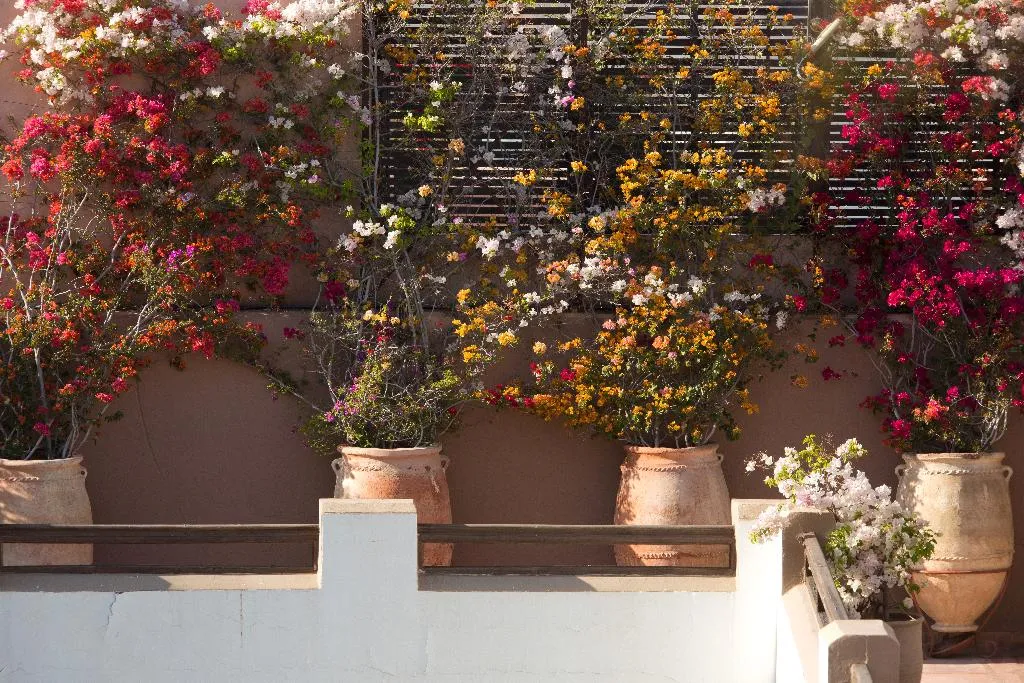 Terrace, Les Jardins de la Medina, Marrakech