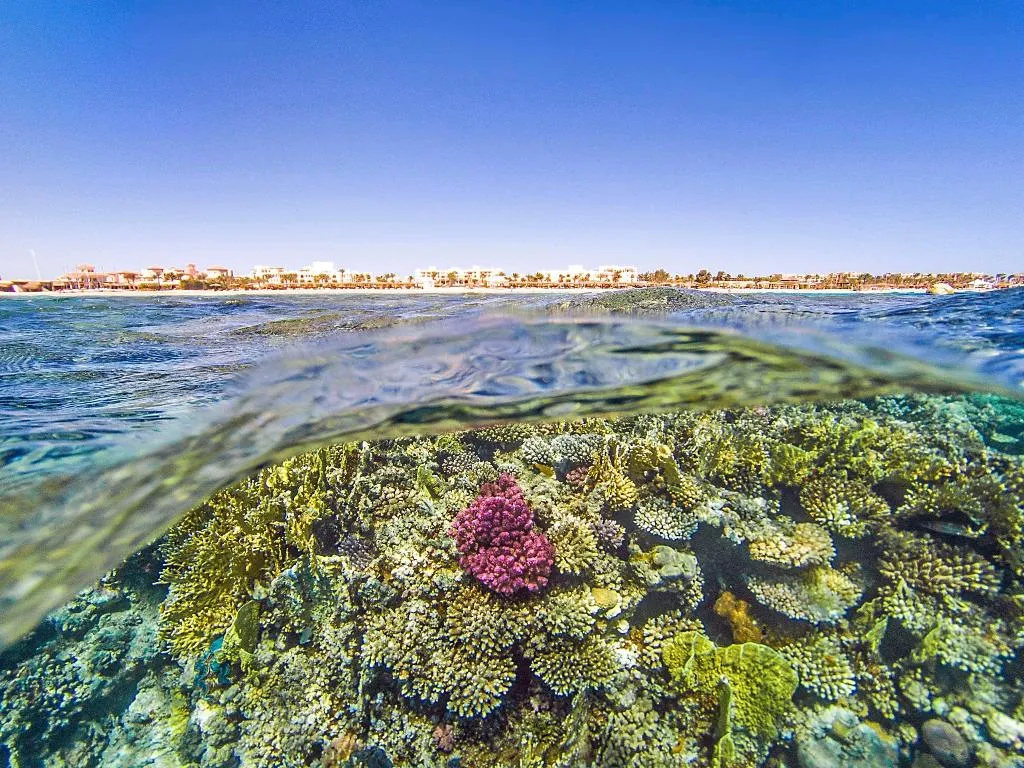Beach, Kempinski Hotel Soma Bay, Red Sea Riviera