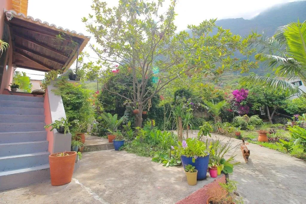 General view, North Coast Guest House, Madeira