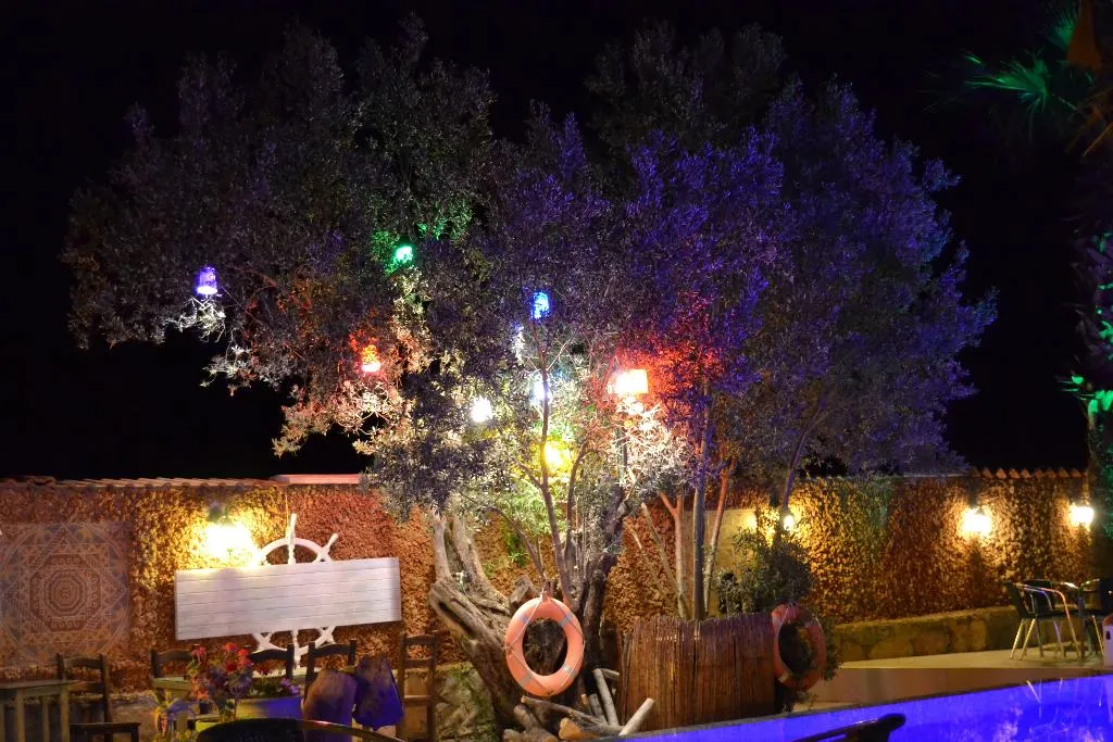 General view, Bodrum Oscar Hotel, Bodrum