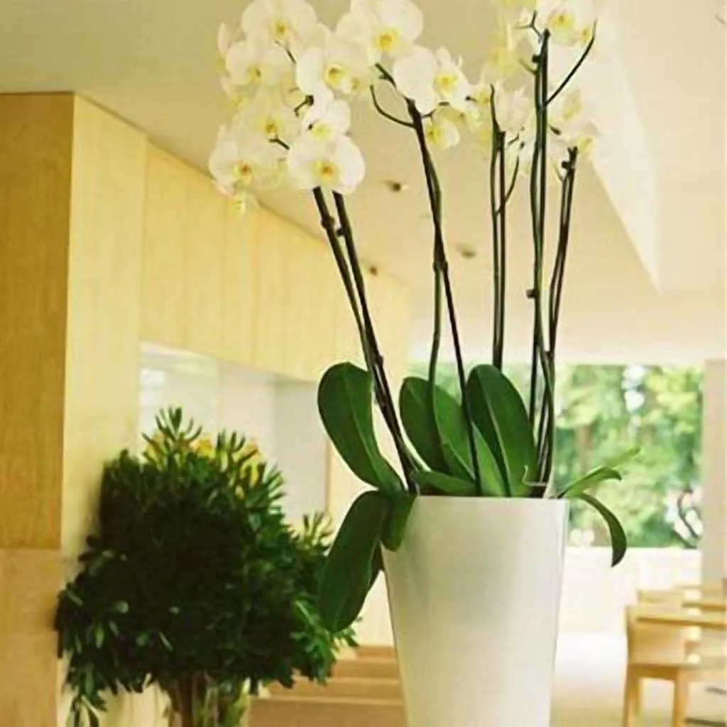 Lobby, Inlima Hotel e Spa, Porto
