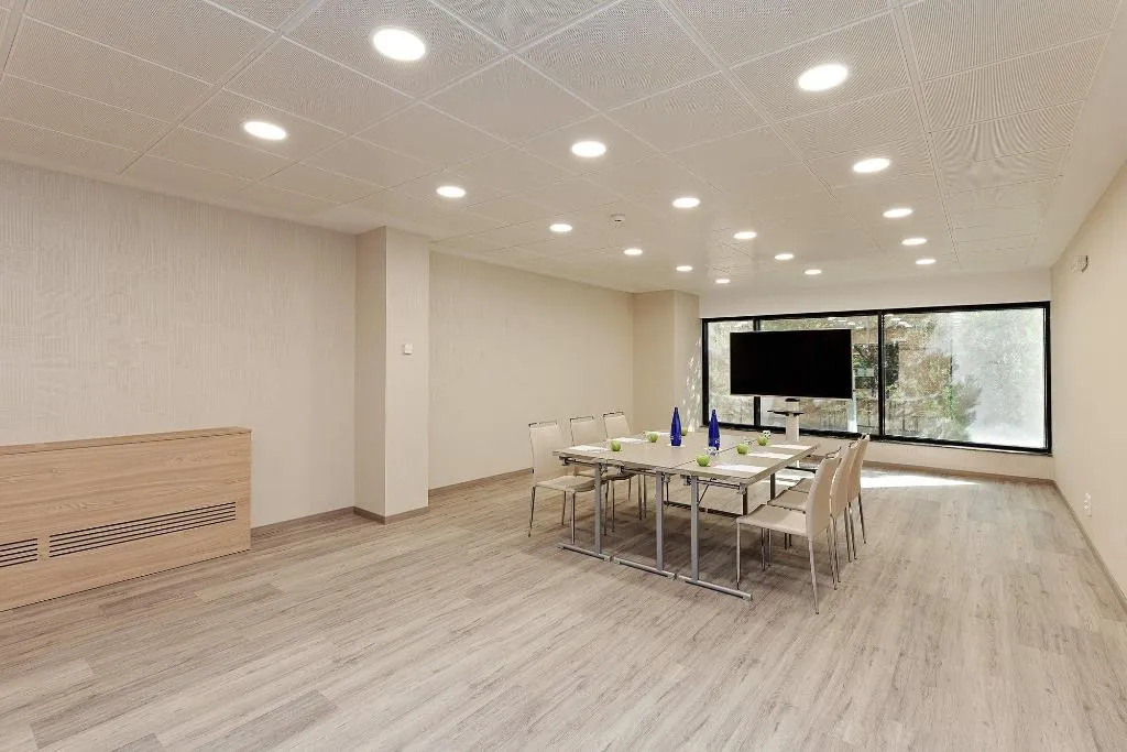 Conferences, Melia Avenida America, Madrid