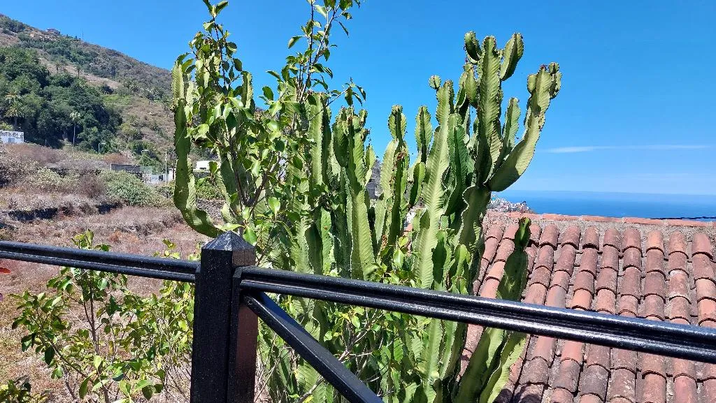 Conferences, Apartamentos Monasterio de San Antonio Only Adults, Tenerife