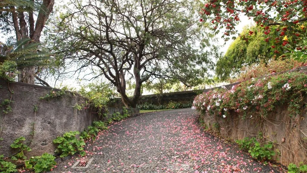 General view, Quinta Das Malvas, Madeira