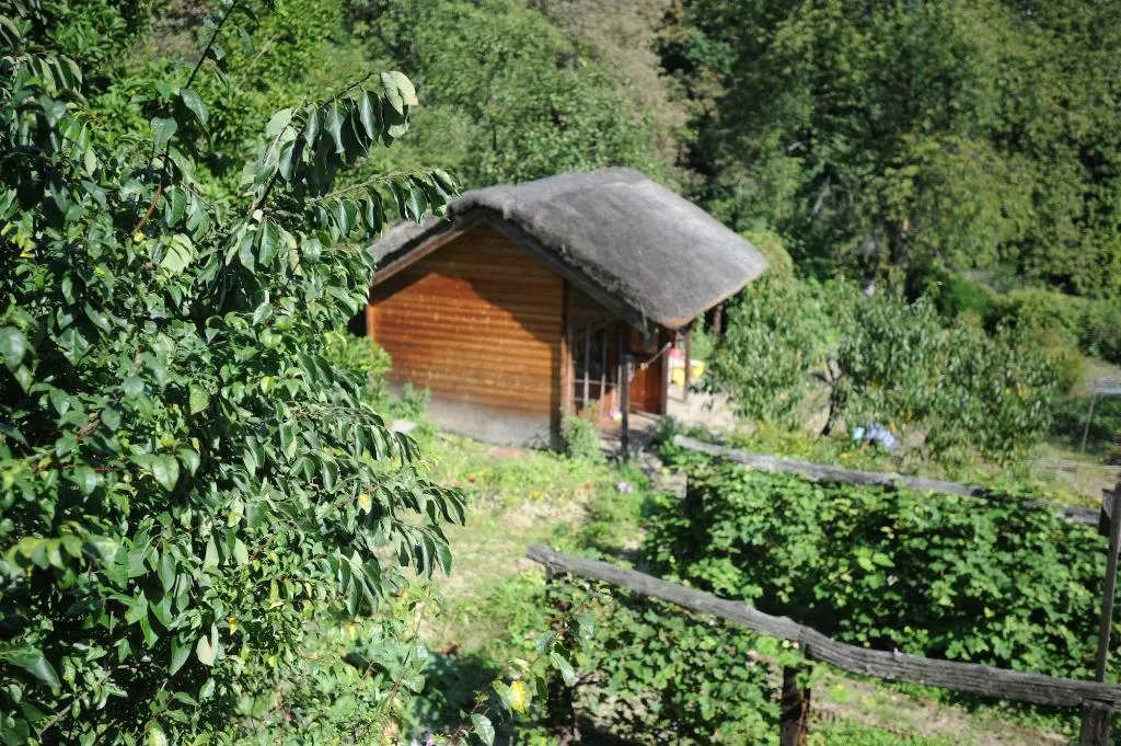 Room, Ekosamotnia Eco Dream Pension, Krakow