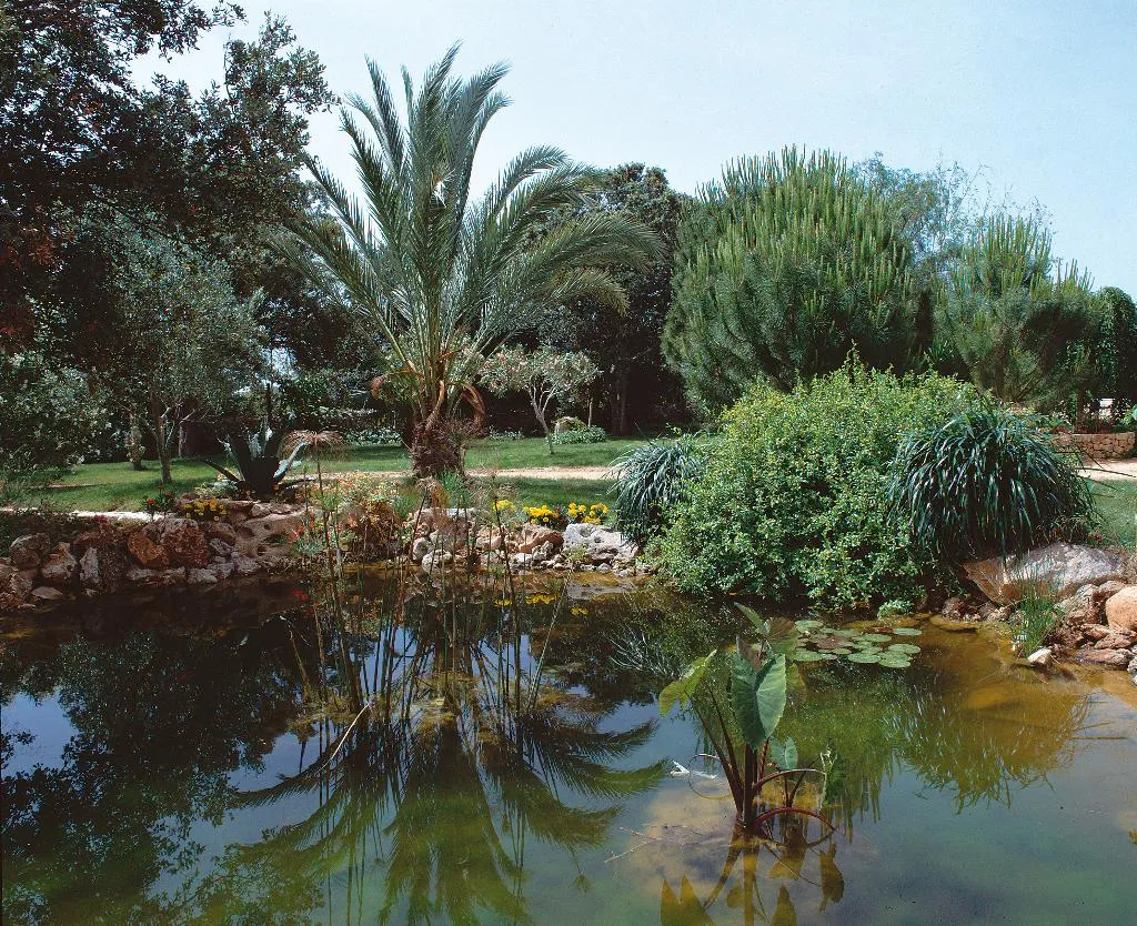 General view, Son Mercadal, Majorca