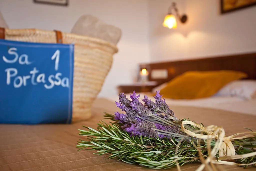 Double or Twin STANDARD Room, Na Martina, Majorca