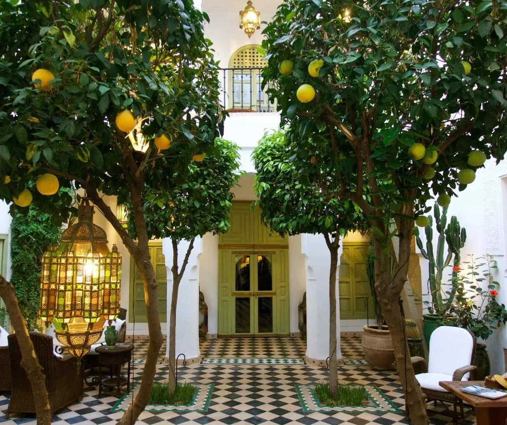 General view, Riad Camilia, Marrakech