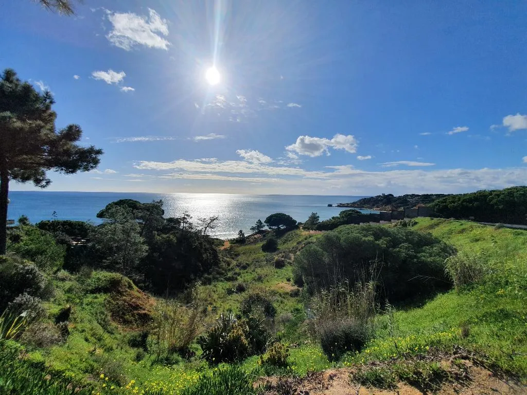General view, Quinta Pedra Dos Bicos, Algarve