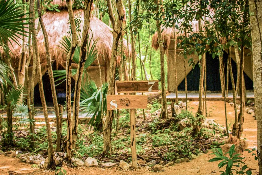 Room, Akumal Natura Glamping, Playa Del Carmen