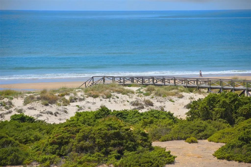 Beach, Sol Sancti Petri, Costa De La Luz