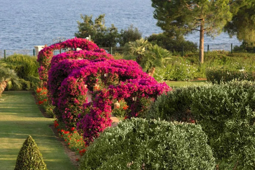 General view, The St. Regis Mardavall Resort, Majorca