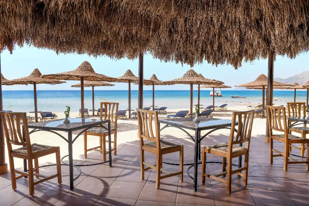 Bar, JAZ Dahabeya, Red Sea Riviera