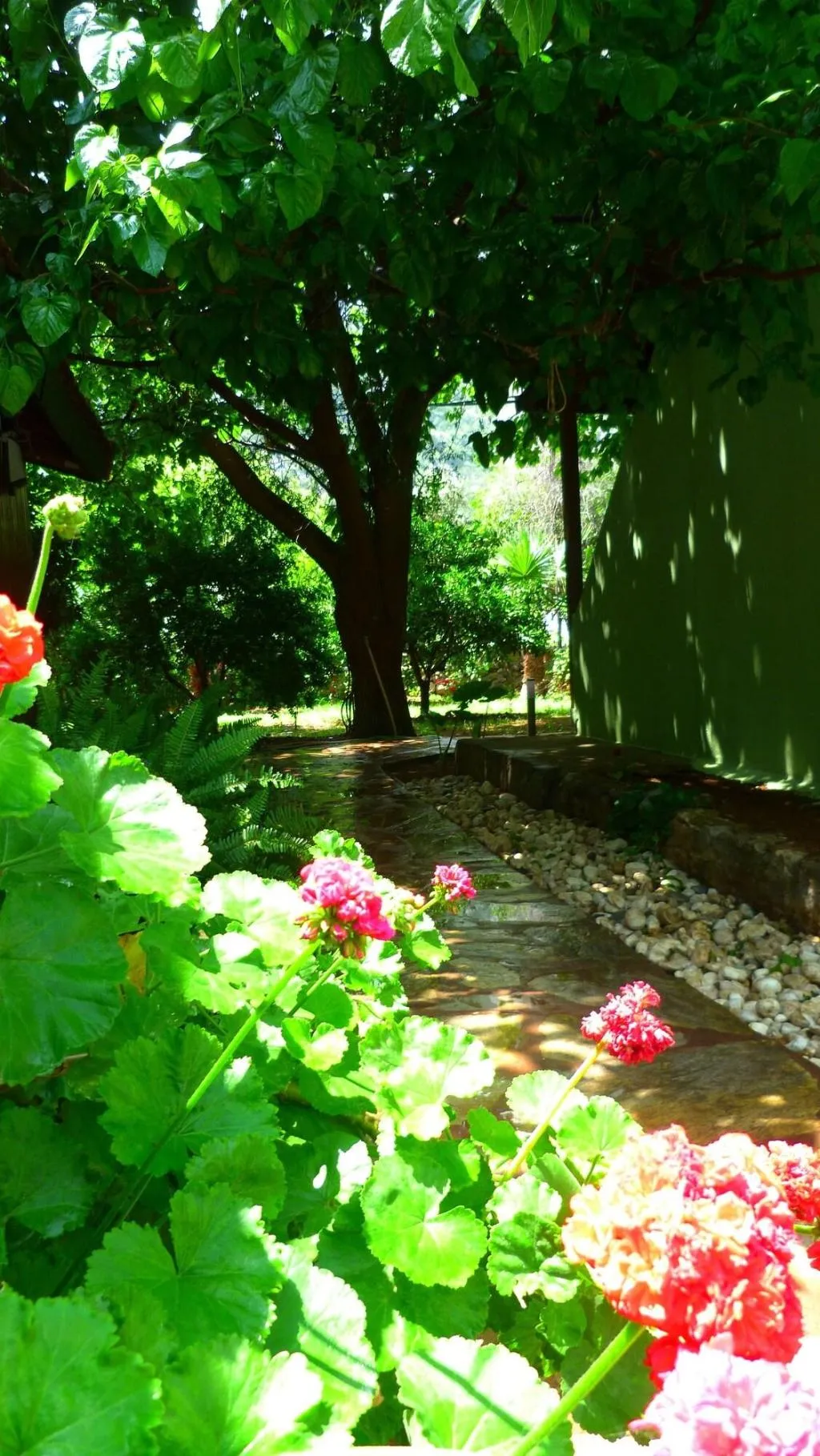General view, Simge Pension, Antalya