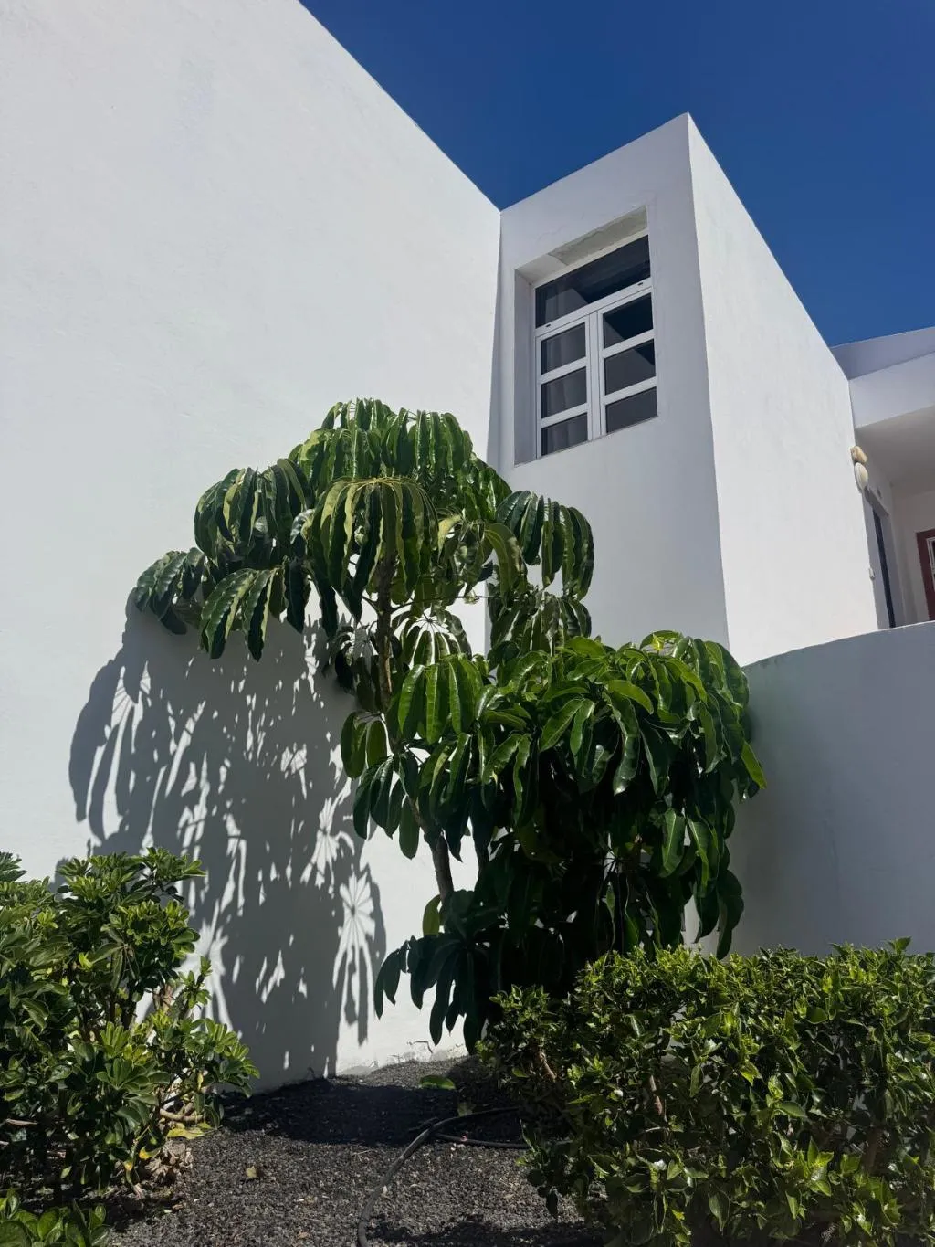 Lobby, Malibu Park, Tenerife