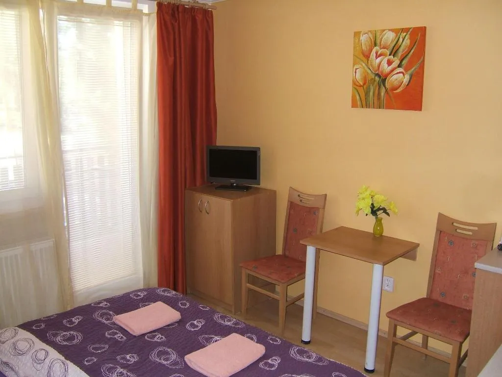 Room, Penzion V Roklích, Prague