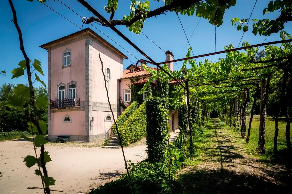 Sports and Entertainment, Quinta De Cortinhas, Porto