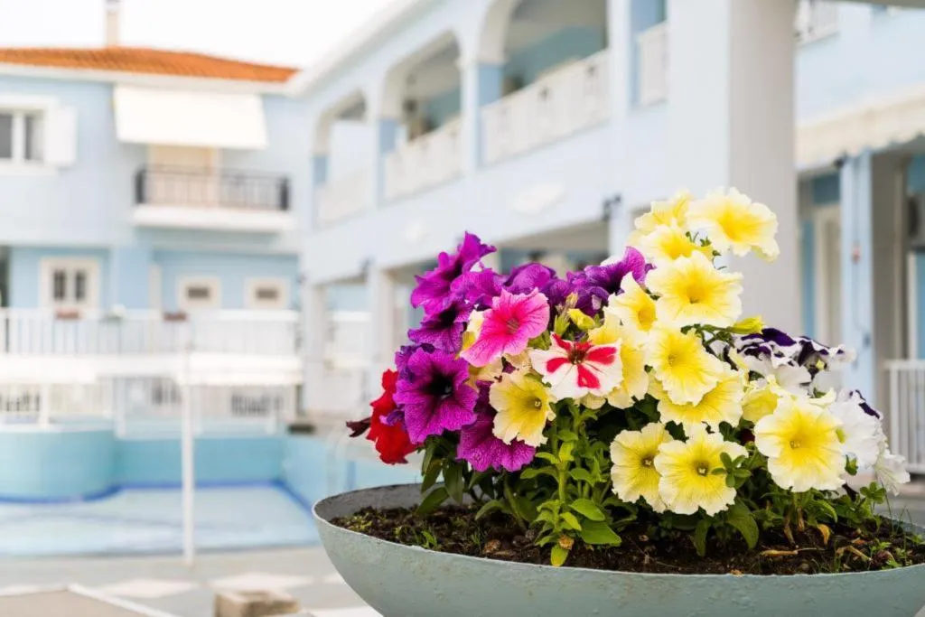 General view, Anna's Studios & Apartments, Zante