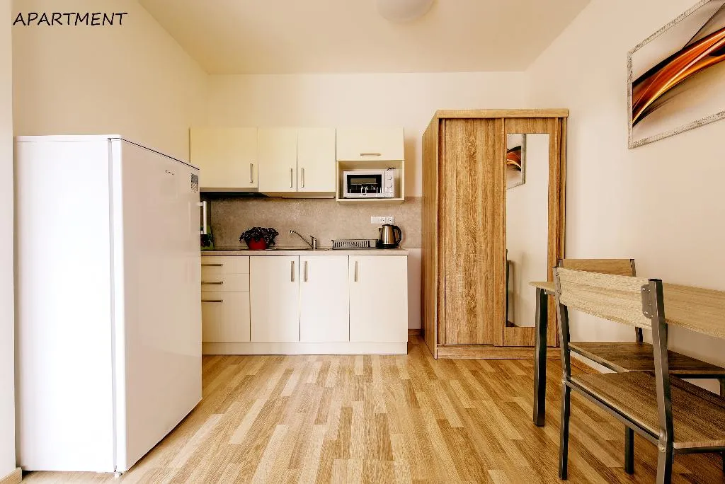APARTMENT CAPACITY 3 ONE BEDROOM Room, Otakar, Prague