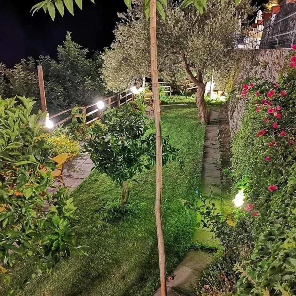 Terrace, Holidays Fico d'India, Naples