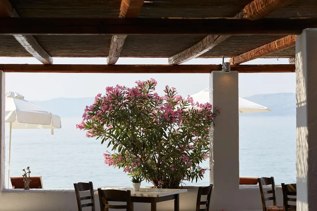 Bar, Hydra Beach Resort, Athens