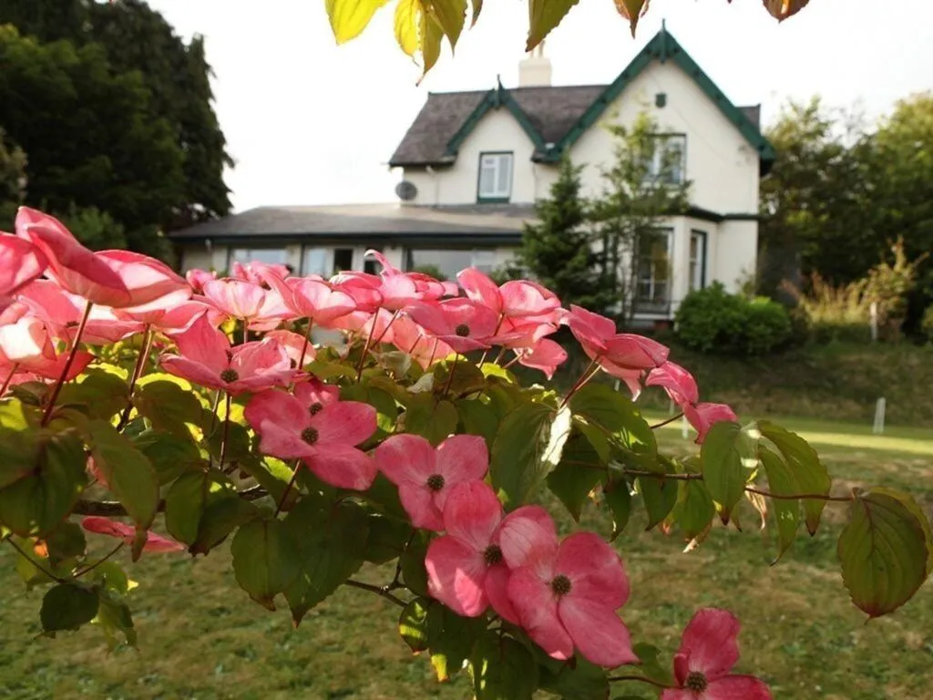 General view, Robin Hill House, Cork