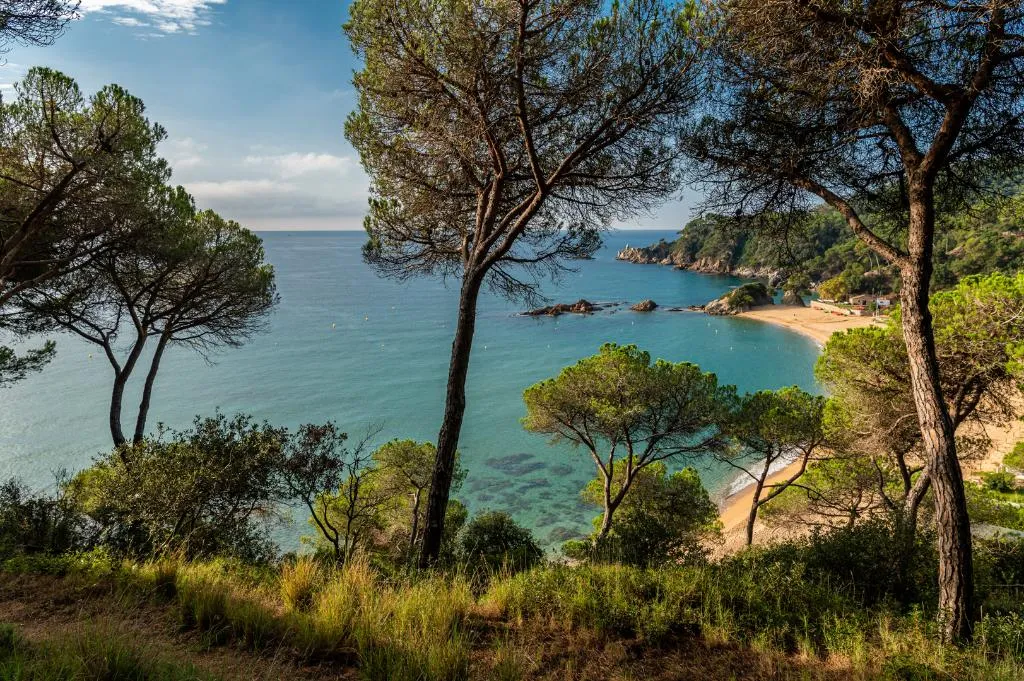 Beach, Albamar, Costa Brava