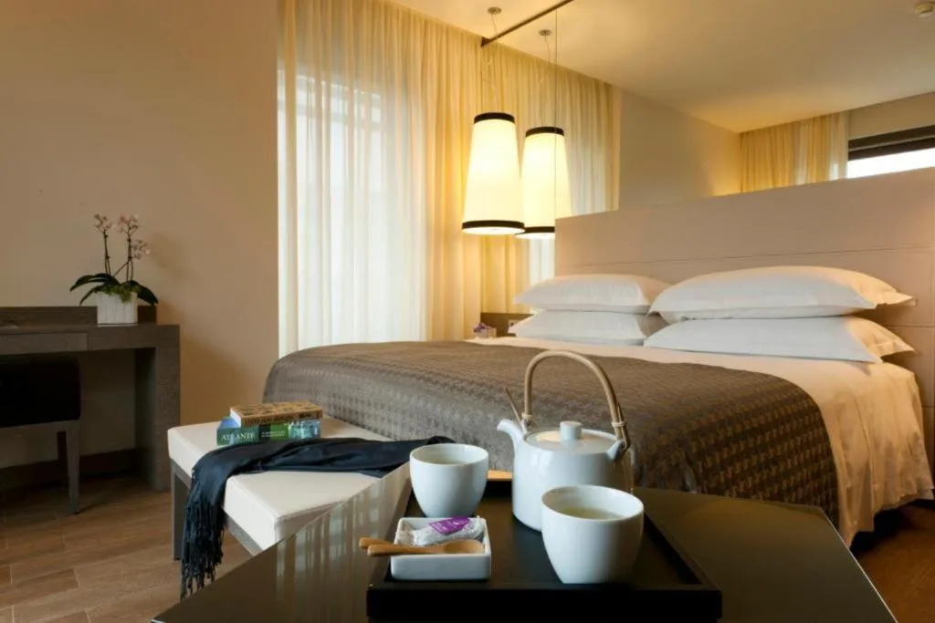 DOUBLE SINGLE USE DELUXE Room, Starhotels E.c.ho. Milano, Milan