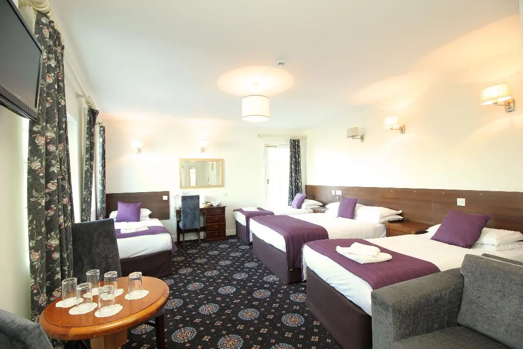 Room, Castle Hotel, Dublin