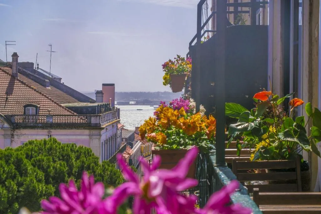 General view, Casinha Das Flores, Lisbon