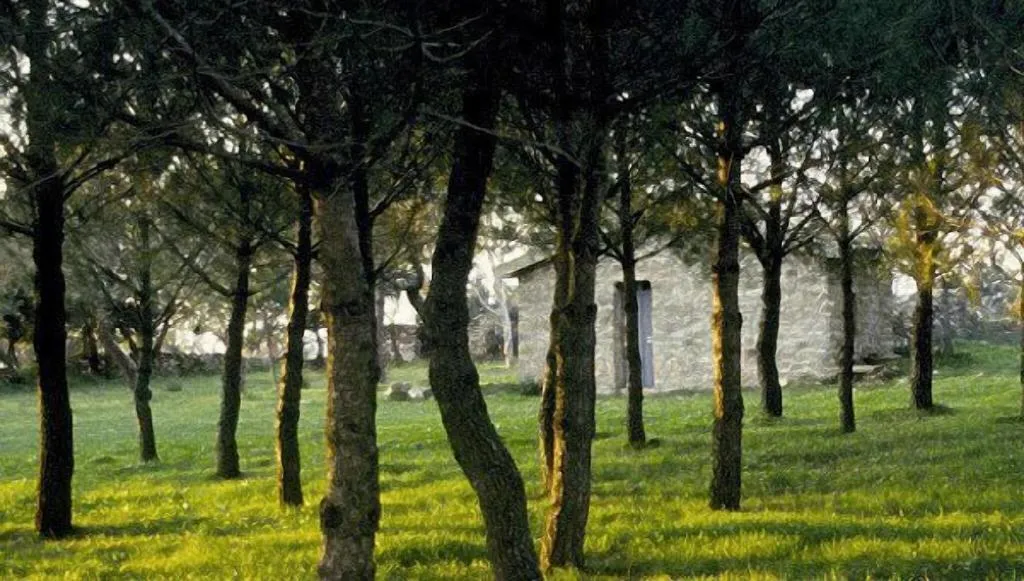 General view, Villa Clementine, Palermo