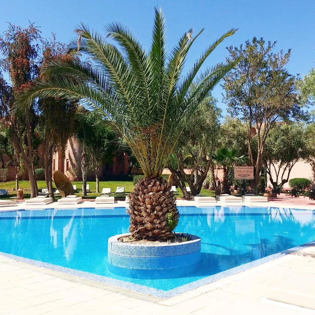 Pool, Riad La Maison des Oliviers, Marrakech