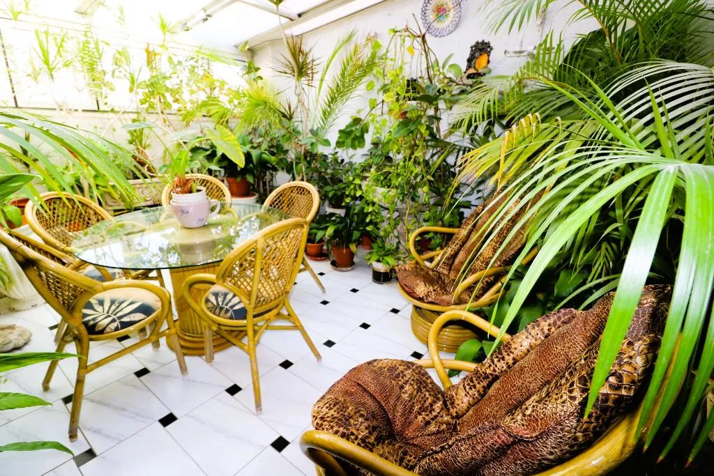 Terrace, Hostal Hispano-Argentino Gran Via, Madrid