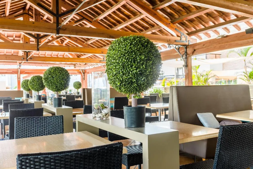 Restaurant, Zafiro Rey Don Jaime, Majorca