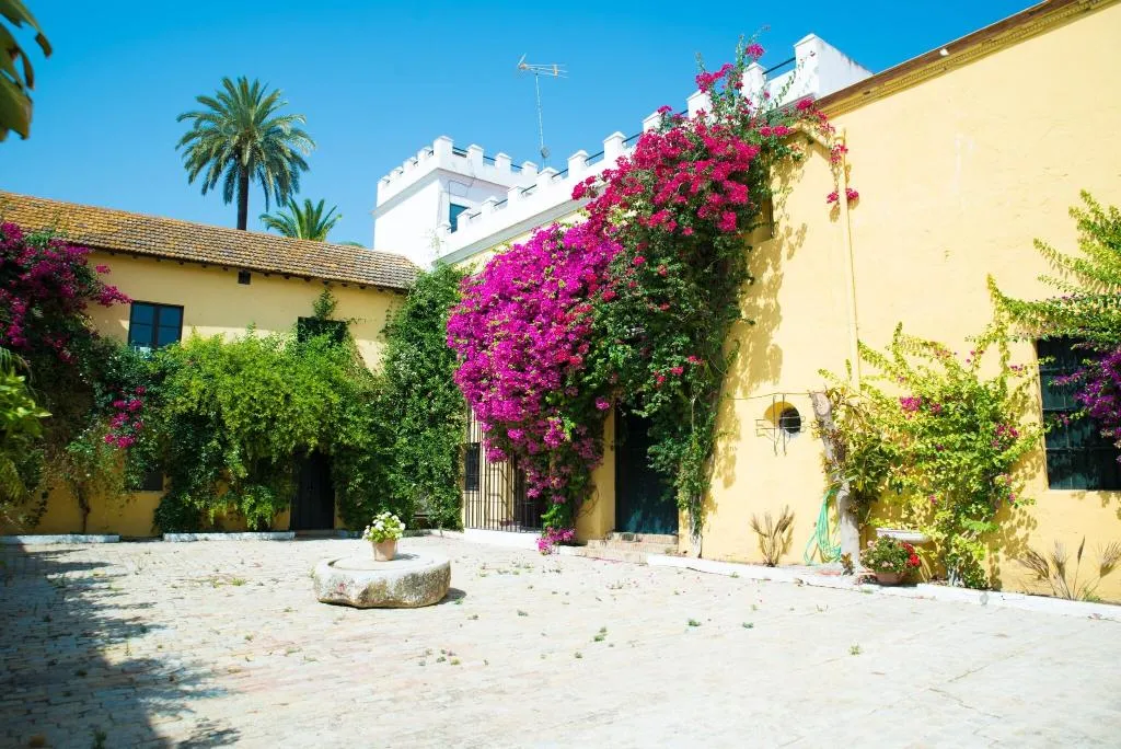 Terrace, Hacienda la Indiana, Andalucia