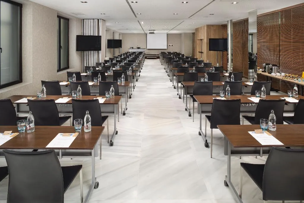 Conferences, Melia Madrid Serrano, Madrid