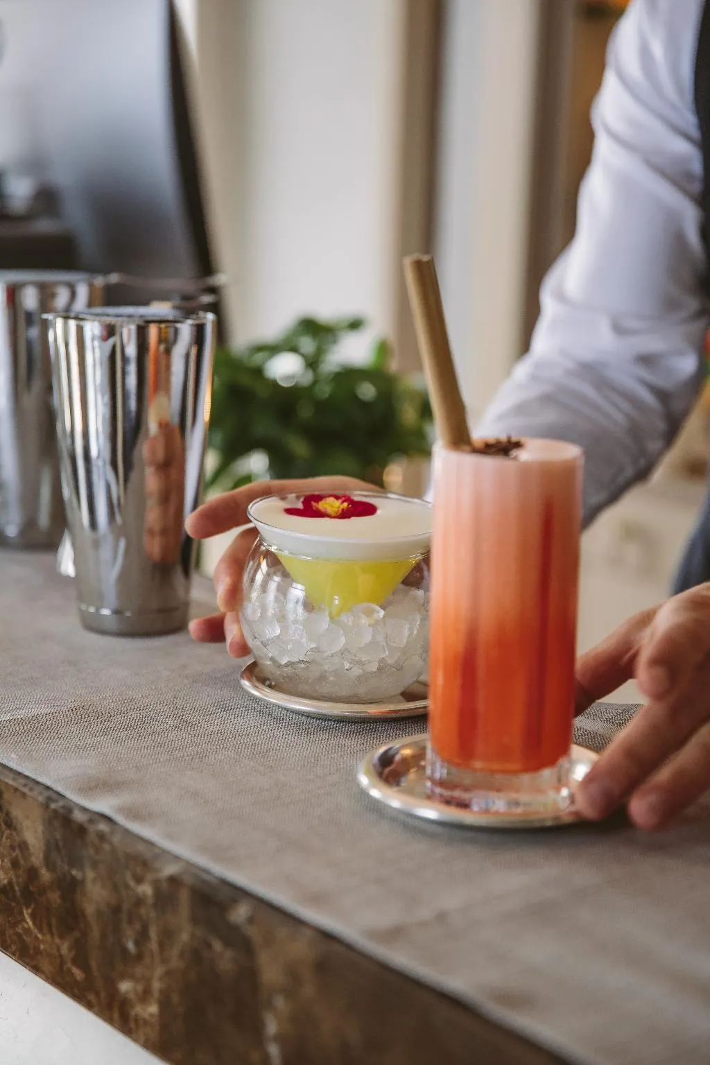 Bar, Villa Flori, Milan