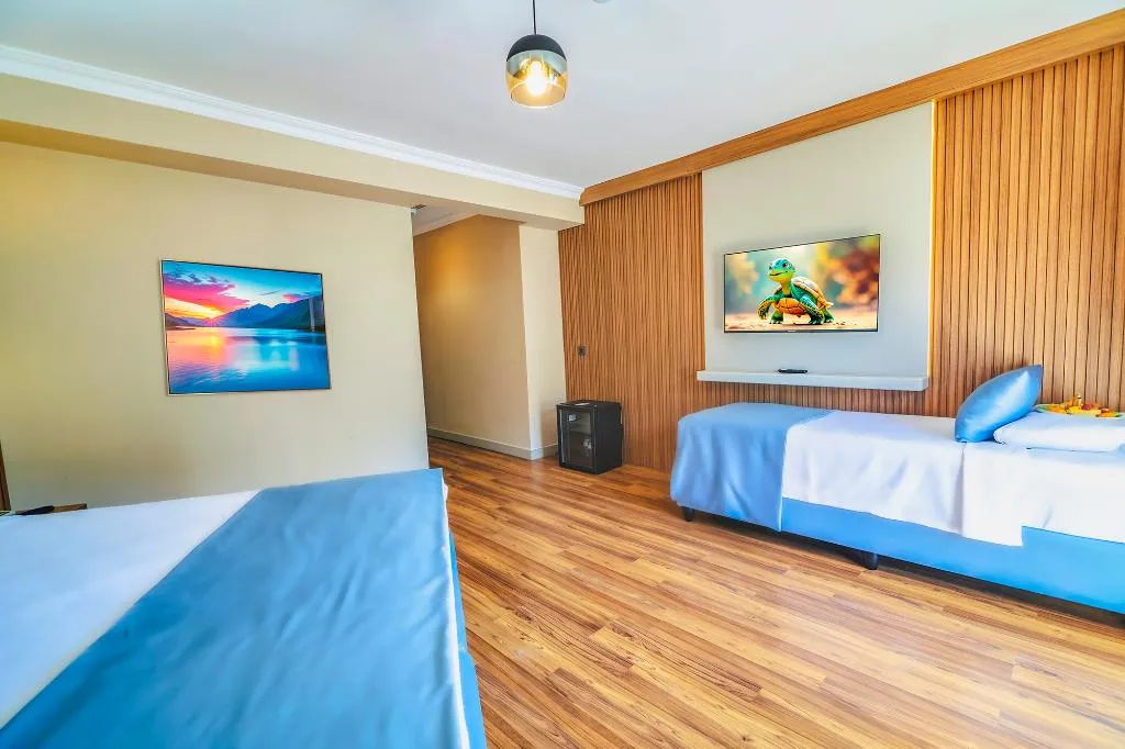 Room, Caria Special Class, Dalaman