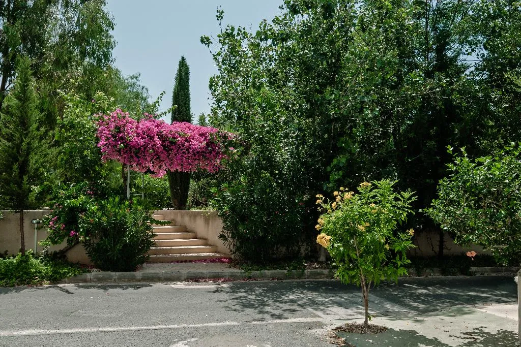 Lobby, Artemis Cynthia Complex, Cyprus