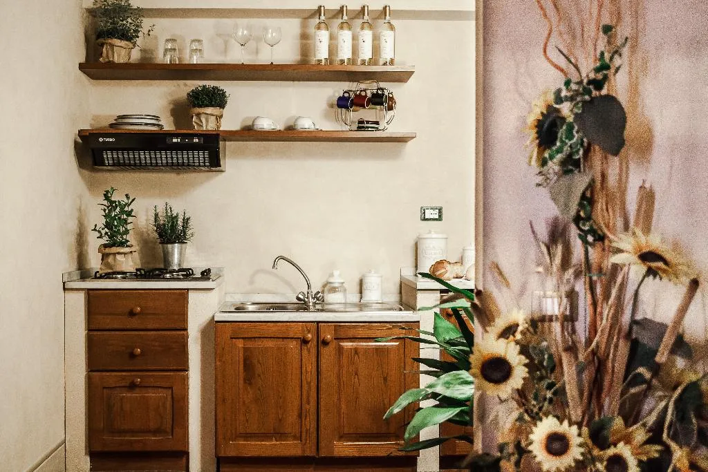 APARTMENT CAPACITY 4 ONE BEDROOM Room, Fattoria Guicciardini, Florence