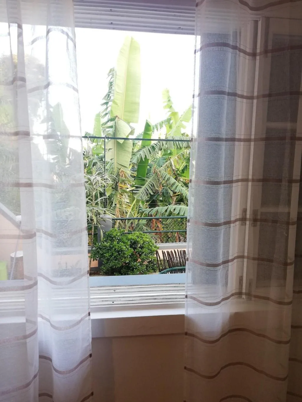 Room, Fx Pena, Madeira