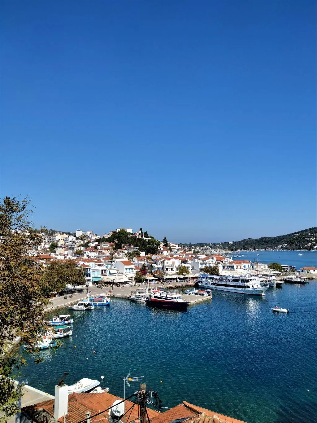 APARTMENT CAPACITY 4 Room, Argo, Skiathos