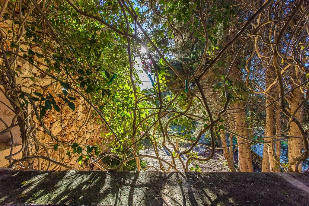 Terrace, Son Foguero Agroturismo, Majorca