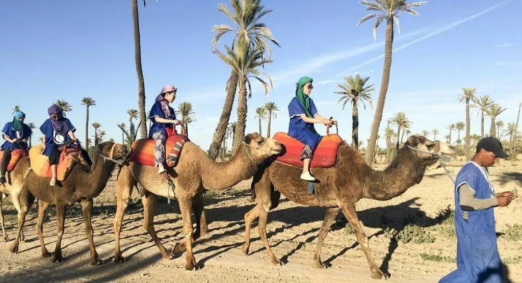 Sports and Entertainment, Riad Dar Aby, Marrakech