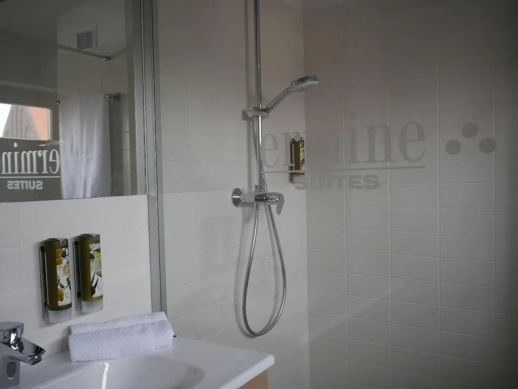 Room, Ermine Suites, Krakow